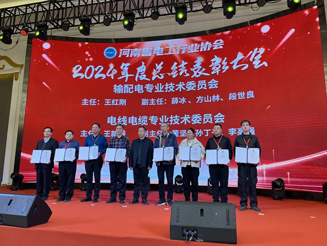 索凌電氣榮獲河南省電工行業(yè)雙優(yōu)稱號(hào),， 持續(xù)助力電力行業(yè)發(fā)展